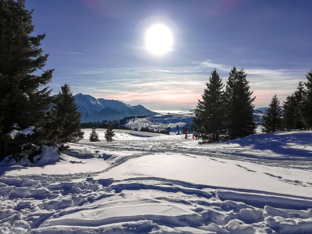 Photograph by Burdikova Inna