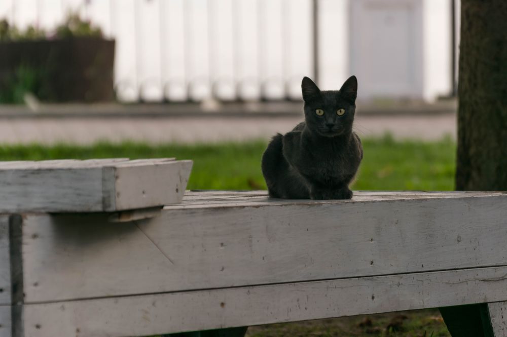 Photograph by Наталья Вялых