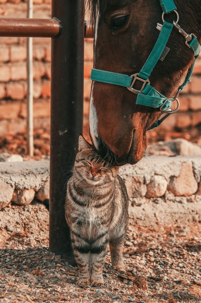 Photograph by javad abolhassani