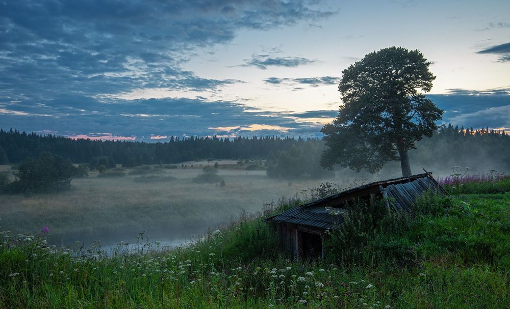 Photograph by Николай Ларионов