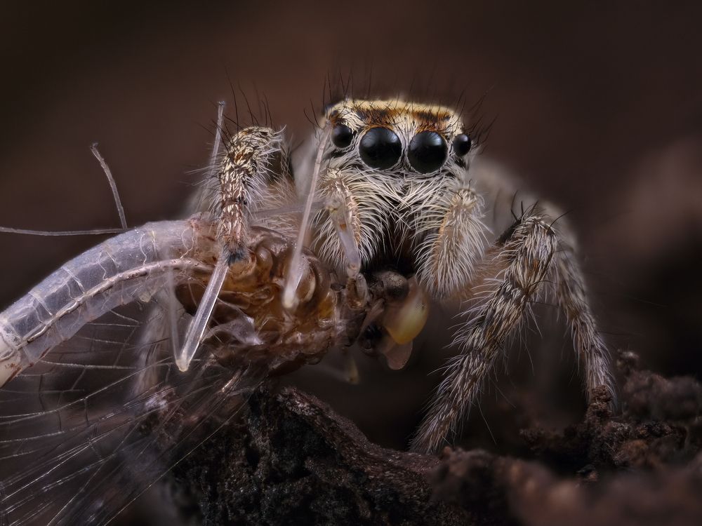 Photograph by Юрий Юрьевич