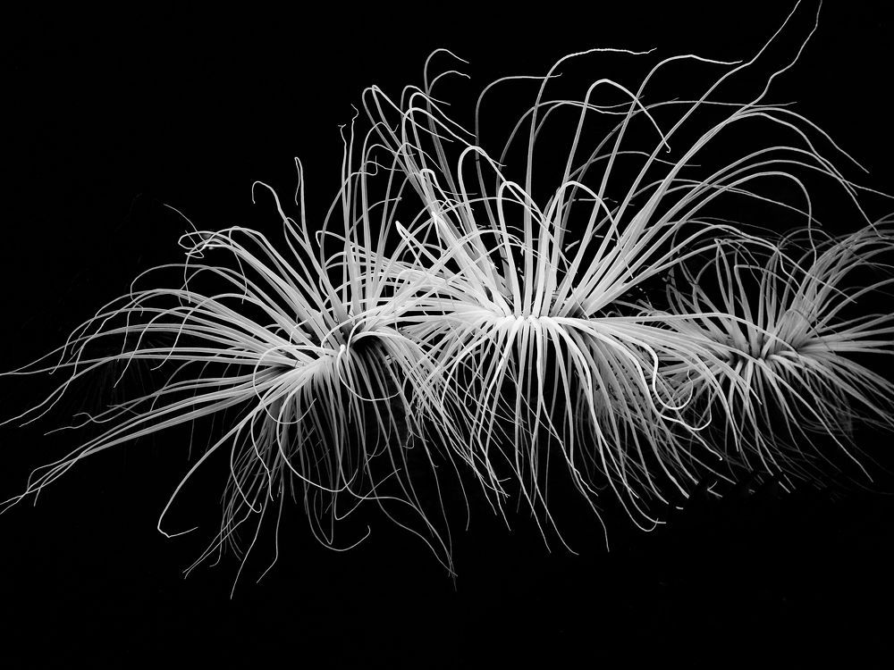 Photograph by Riffaud Jean-Paul