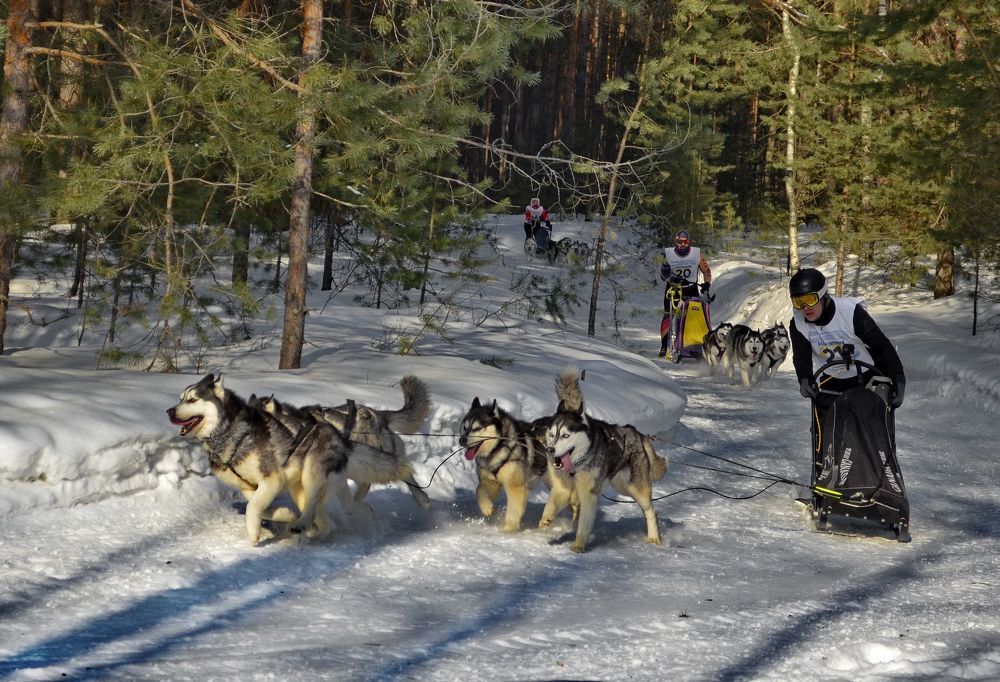 Photograph by вячеслав милов
