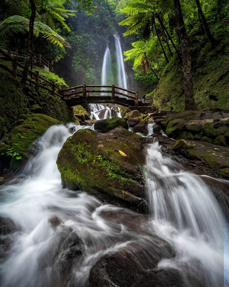 Photograph by Dinar Wahyu Herlambang