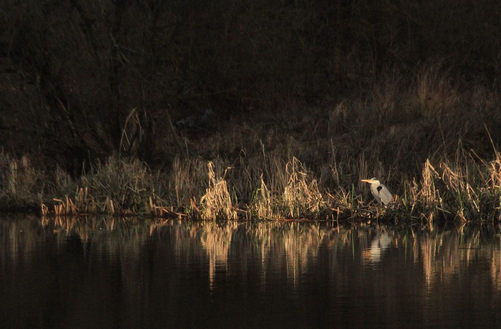 Photograph by Barbara