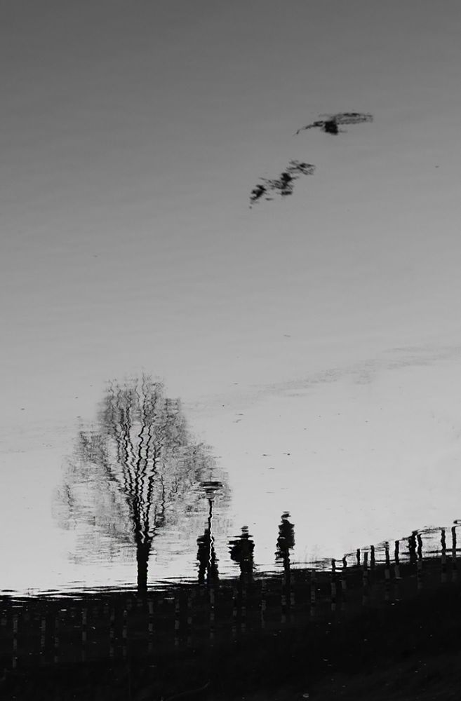 Photograph by Tanja Bažalac