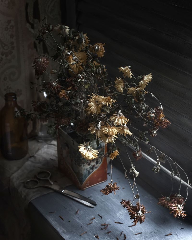 Photograph by Леонид Снег