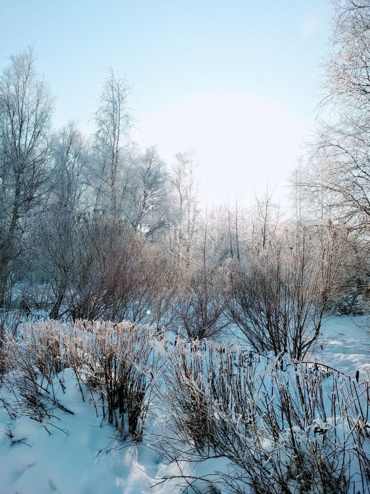 Photograph by Артем Порубаев