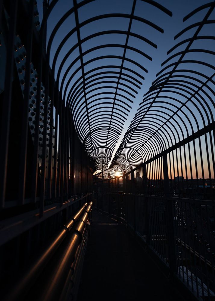 Photograph by Erika Babinsky