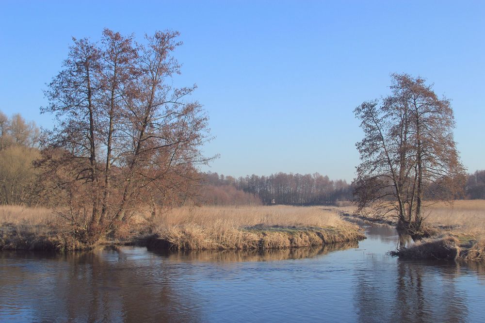 Photograph by Barbara