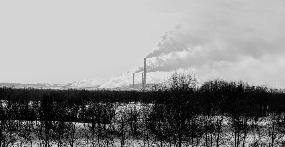 Photograph by Артем Порубаев