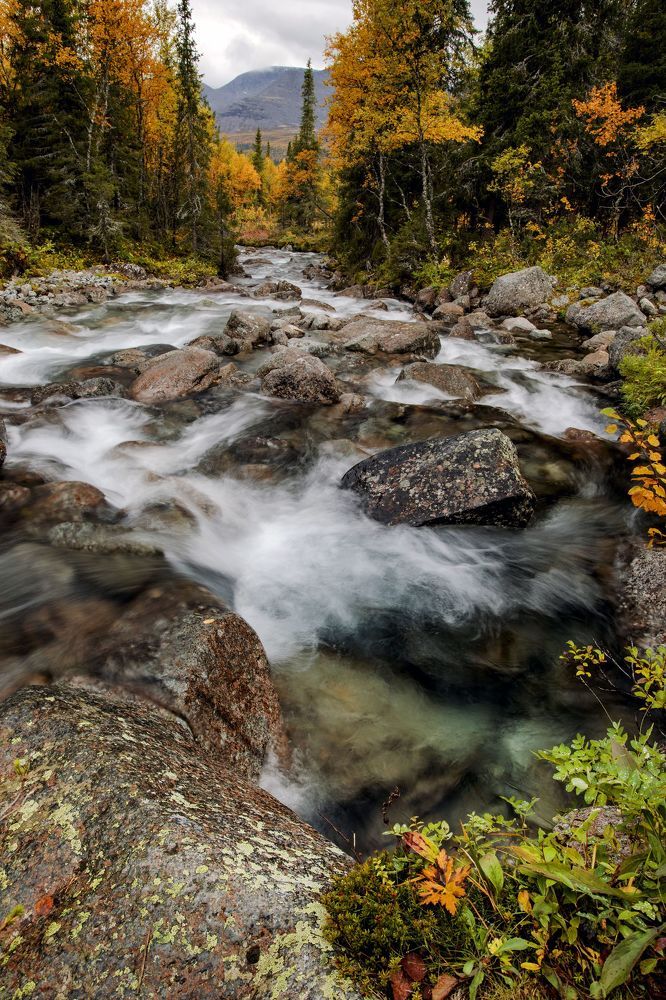 Photograph by Марина Александрова