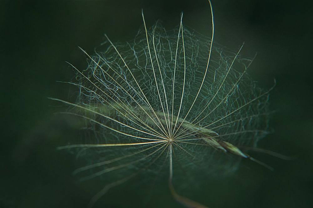 Photograph by Татьяна Колесникова