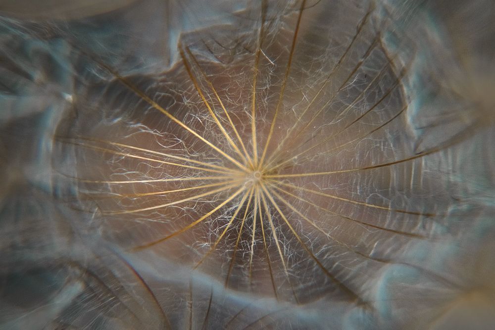 Photograph by Татьяна Колесникова