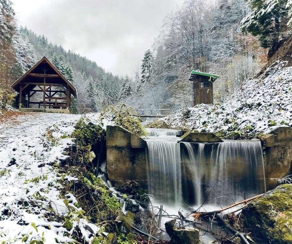 Фотография автора Aleksandra Vizin