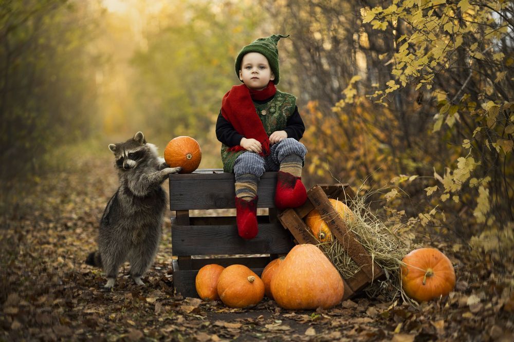 Фотография автора Мария Бородулина