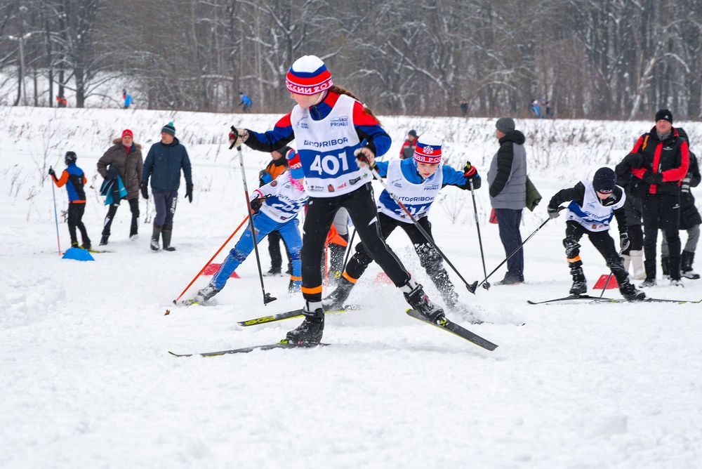 Photograph by Эдуард Шадров