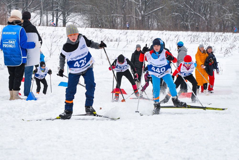 Photograph by Эдуард Шадров