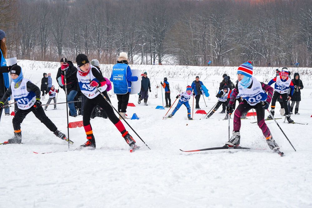 Photograph by Эдуард Шадров