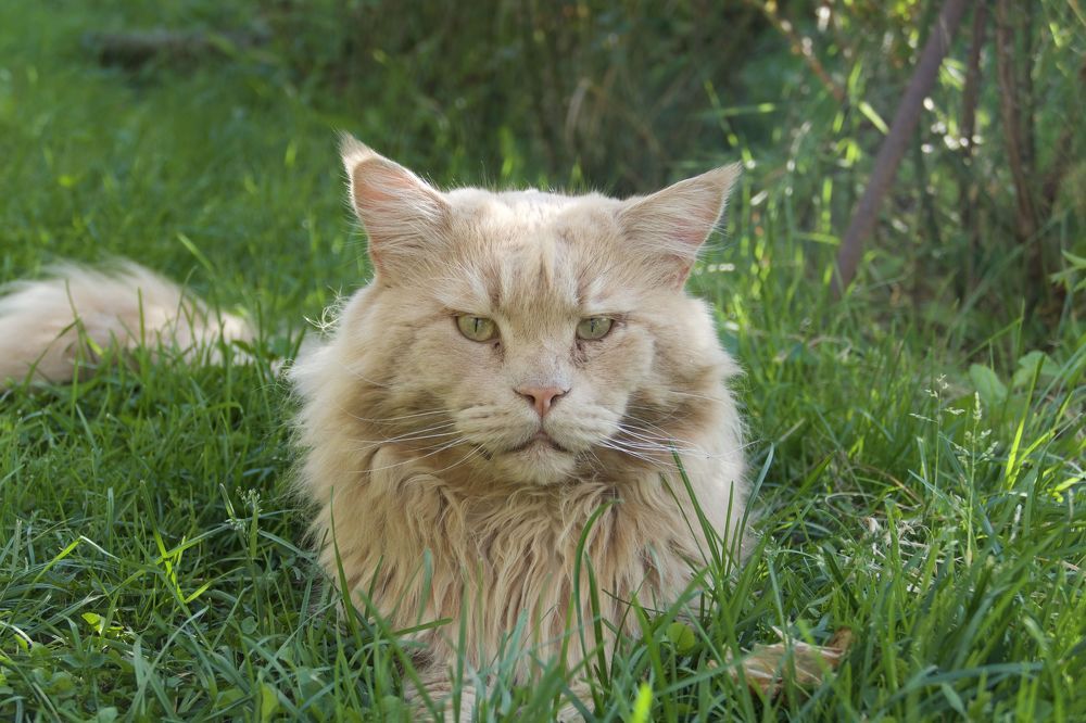 Photograph by Anastasia Perez