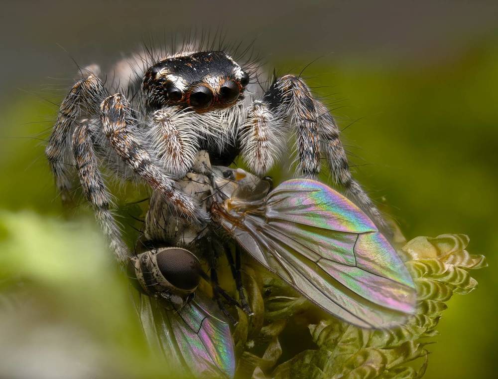 Photograph by Юрий Юрьевич