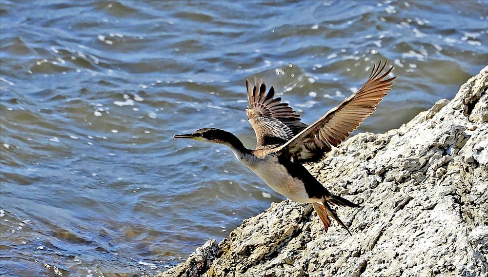 Photograph by Евгений Самулев