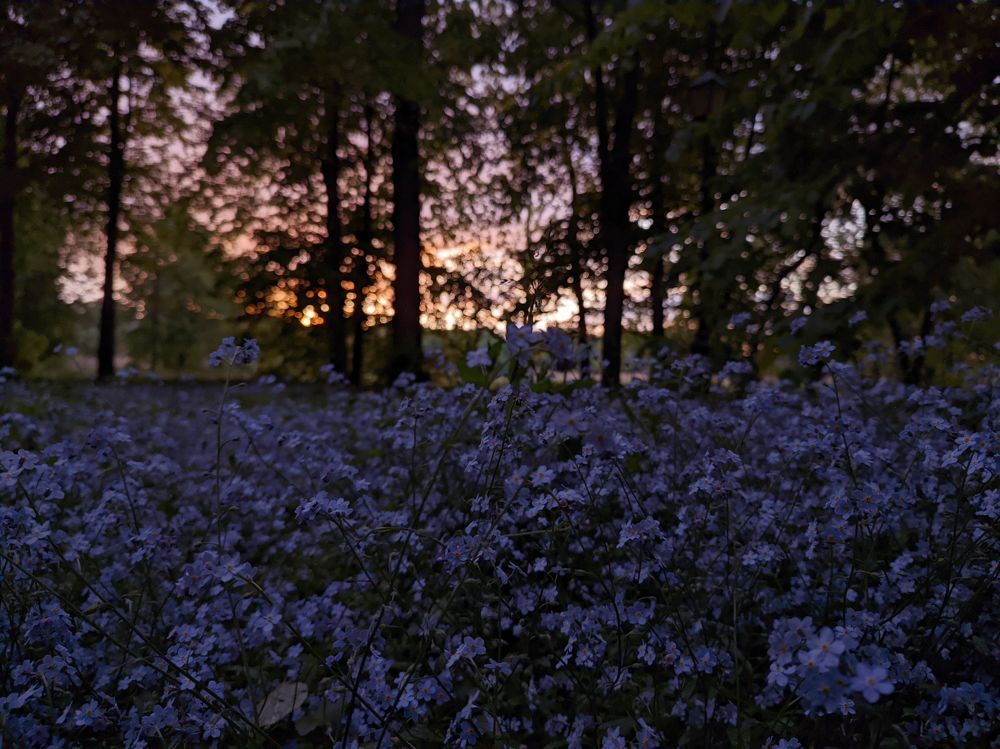 Photograph by Владимир Заборонок