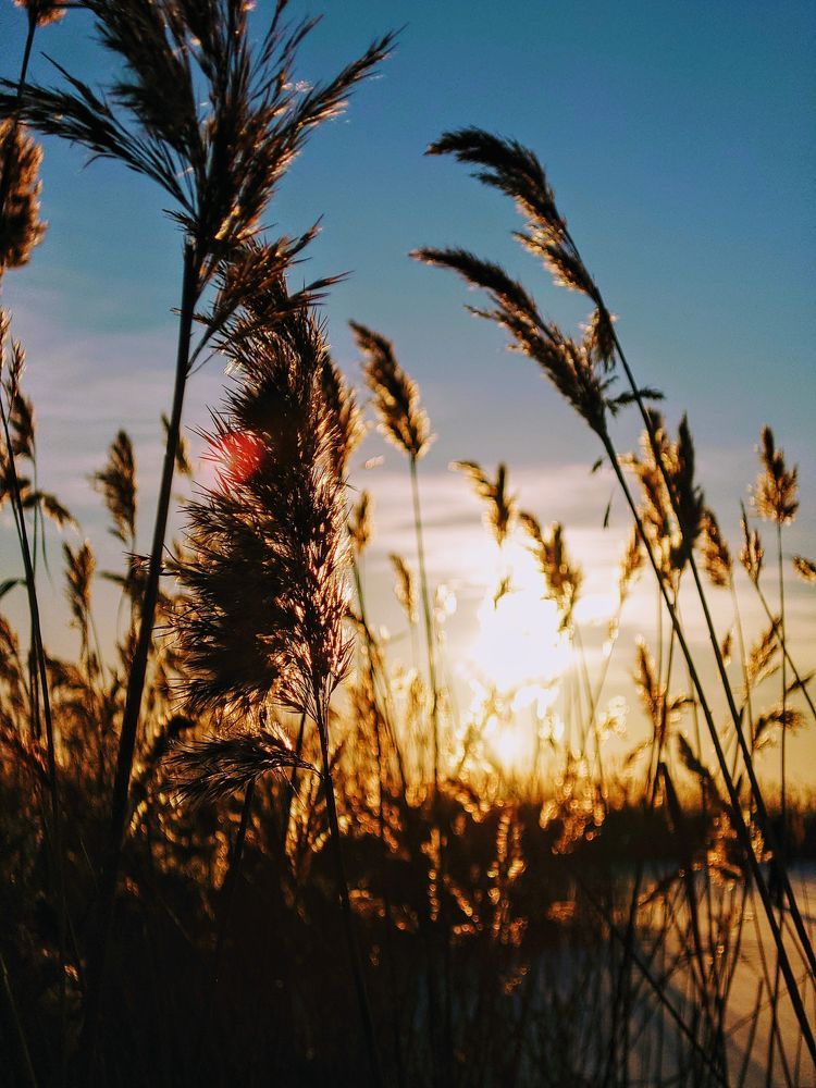 Photograph by Артем Порубаев