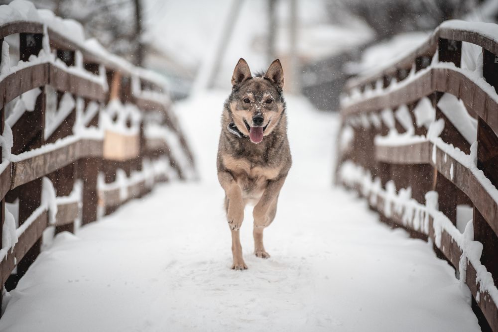 Photograph by Алексей Фурман