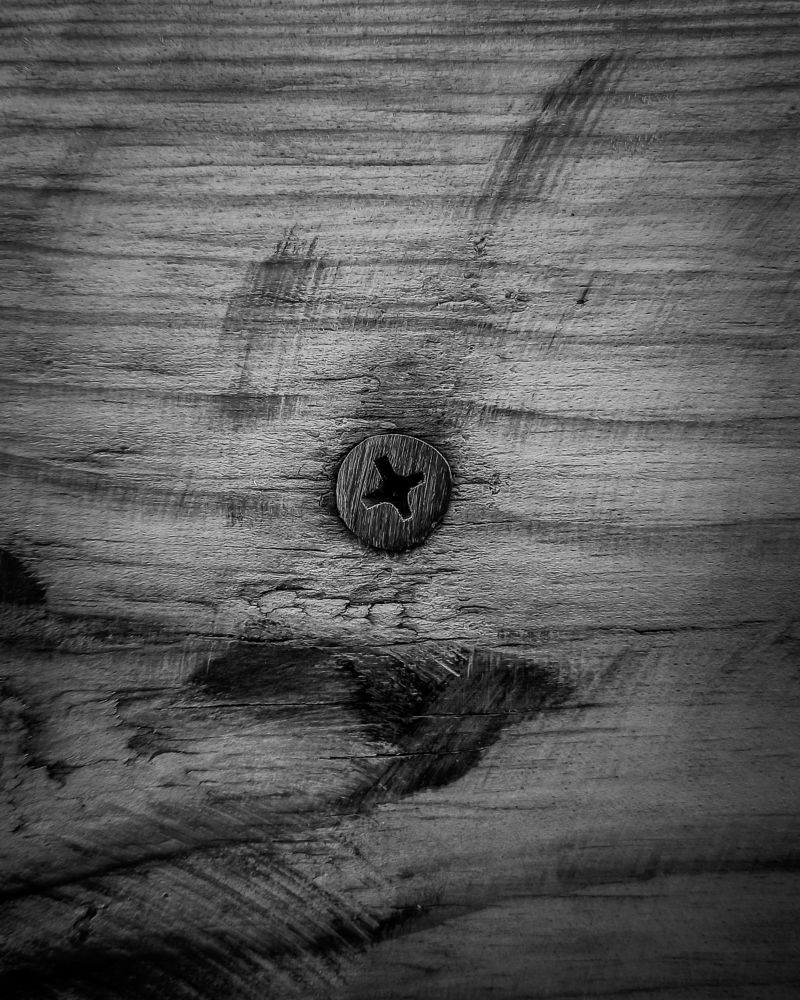 Photograph by Роман Рыбочкин