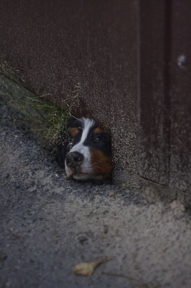 Photograph by Владимир Ткачук