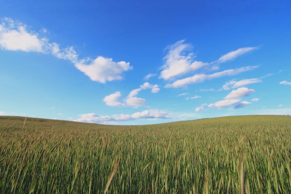 Photograph by Barbara