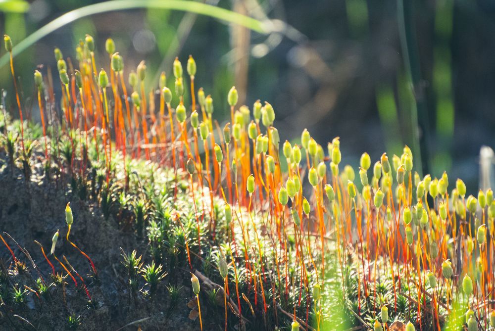 Photograph by Владимир Ткачук