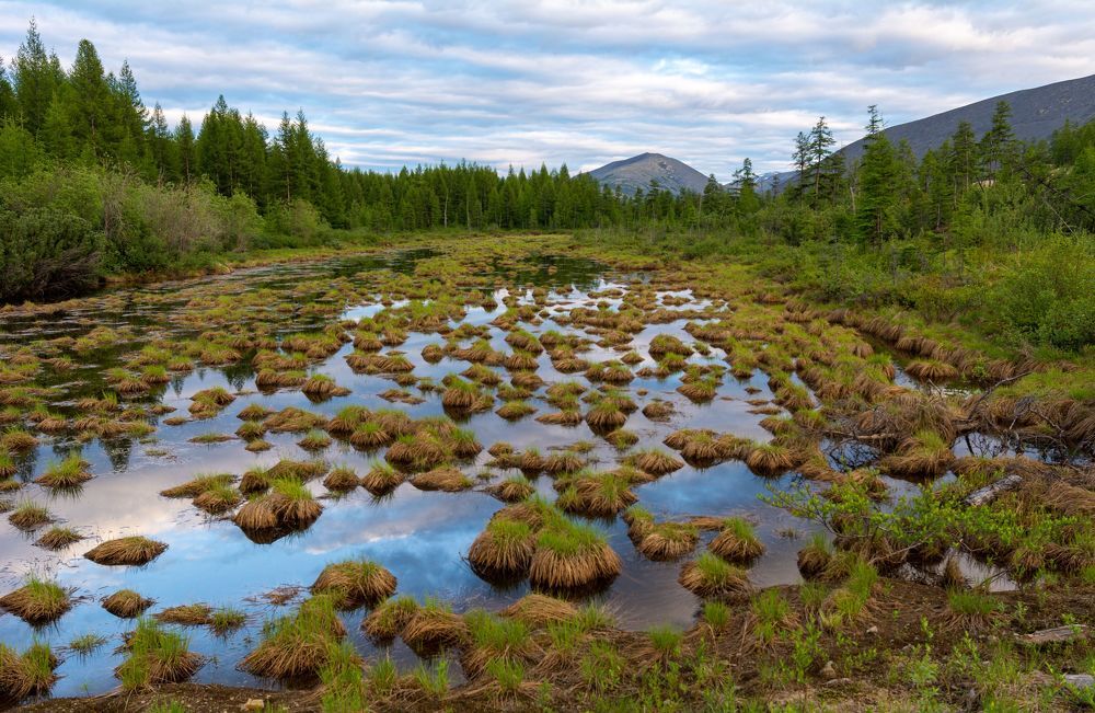 Photograph by Антон Жирнов