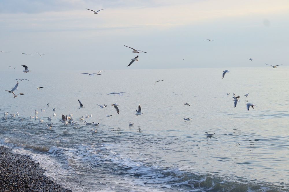 Photograph by Katerina Akalifa