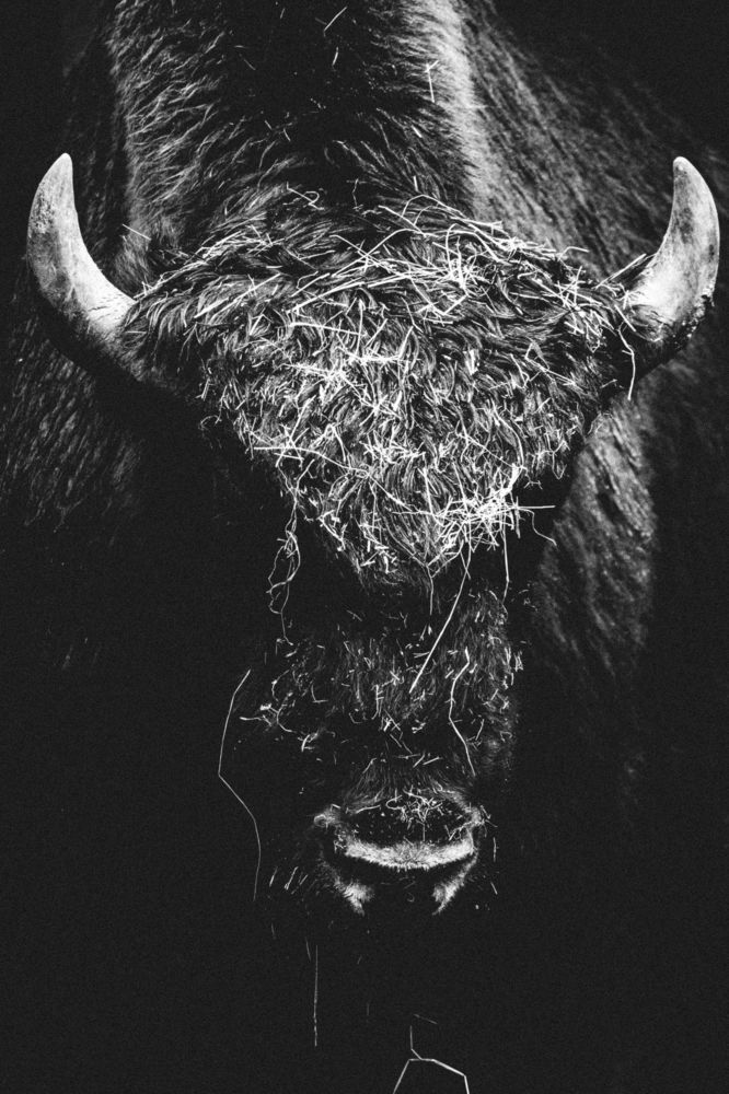 Photograph by Piotr Cichowski