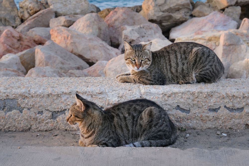 Photograph by Leonid Radashkovsky