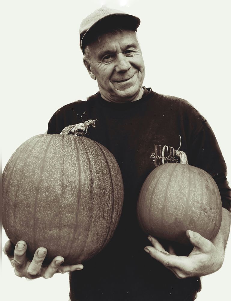 Photograph by Вера Романова