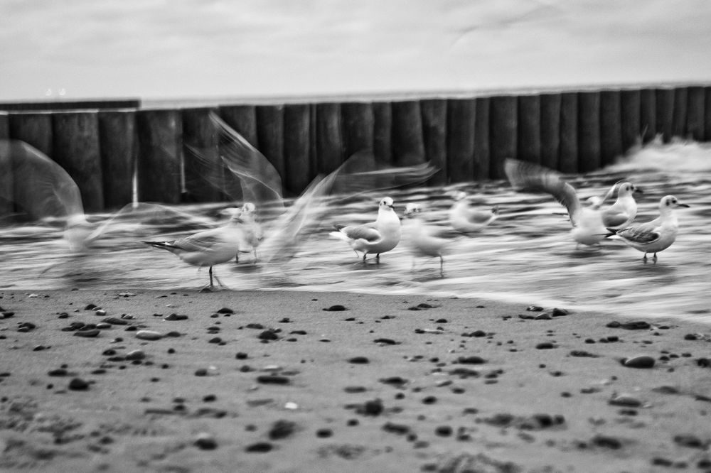 Photograph by Леликов-Кузьменко Владимир