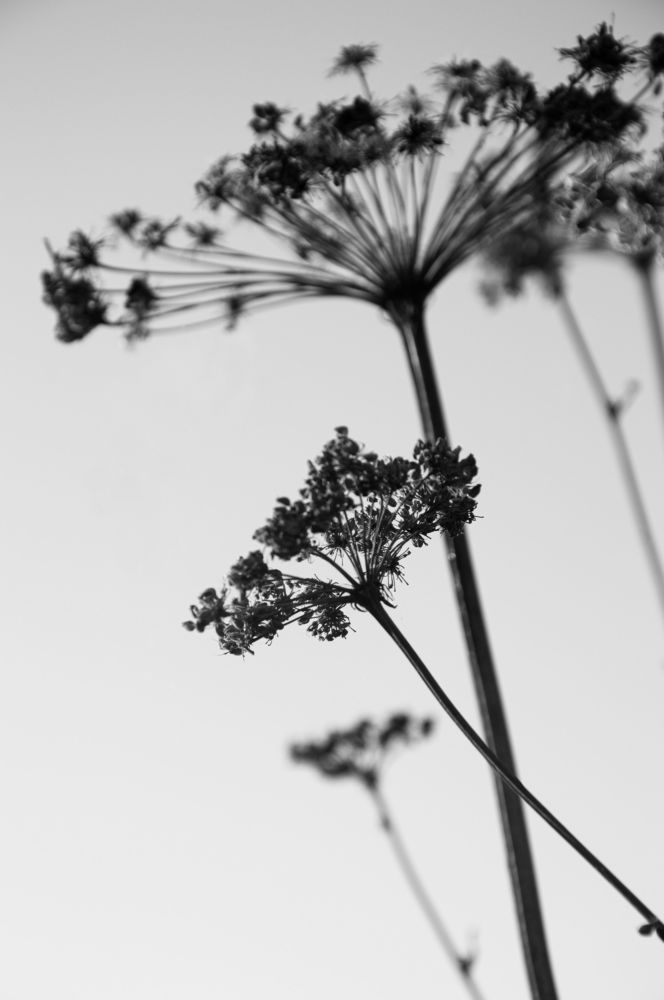 Photograph by Татьяна