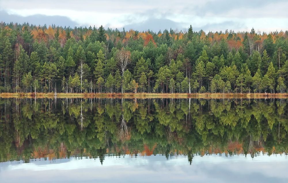 Photograph by Sergei Petrov