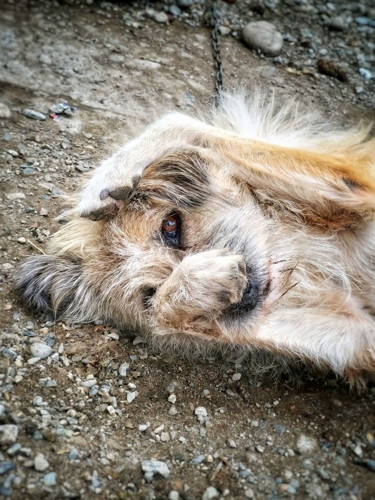 Photograph by Иван Мазняк