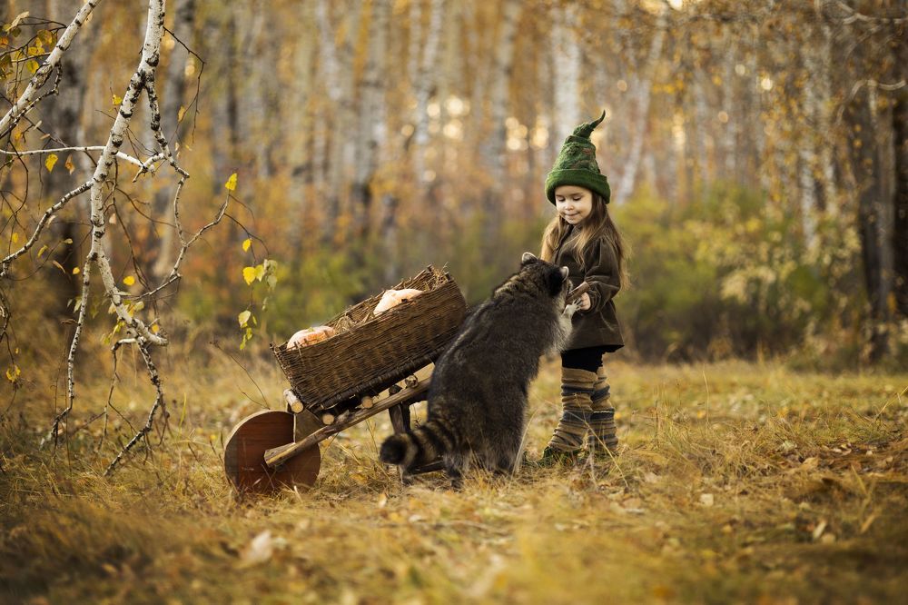 Фотография автора Мария Бородулина