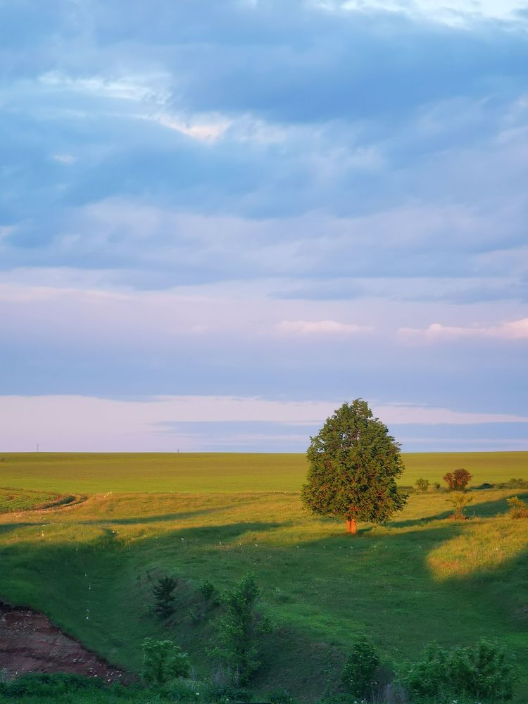 Photograph by Игорь Сапронов
