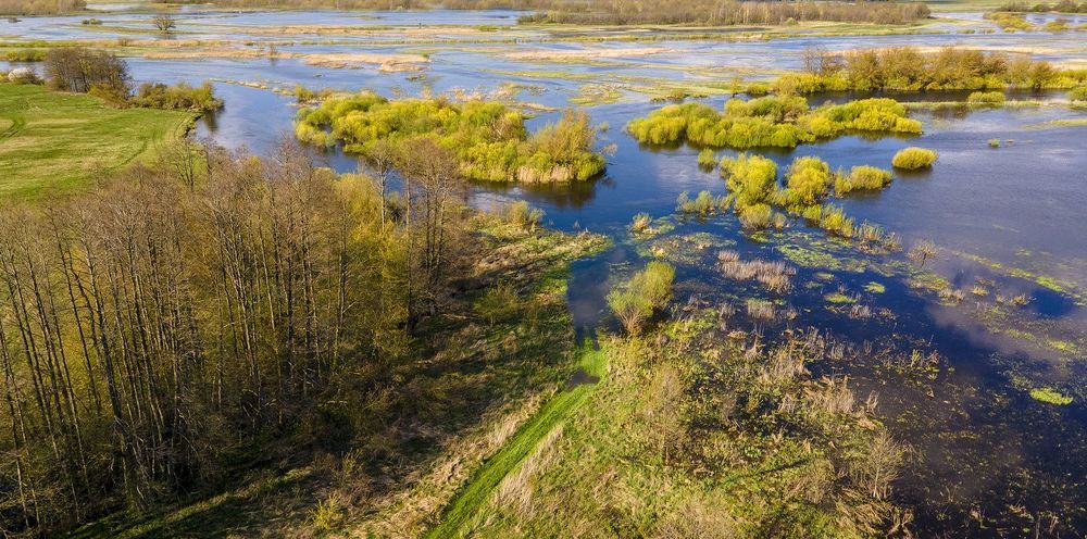 Photograph by Алла Толстая