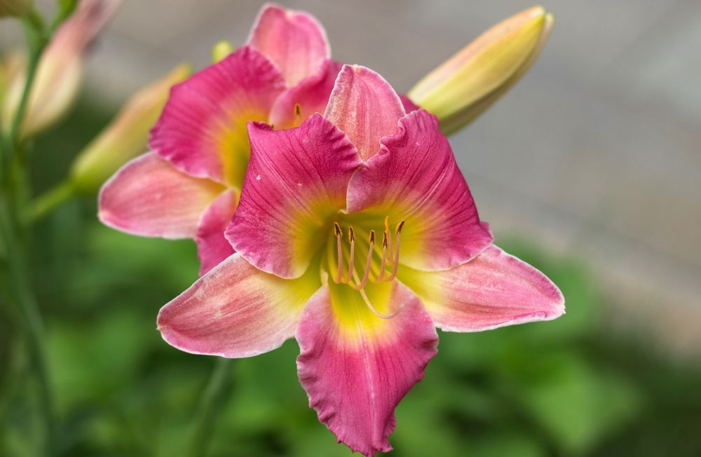 Photograph by Анна