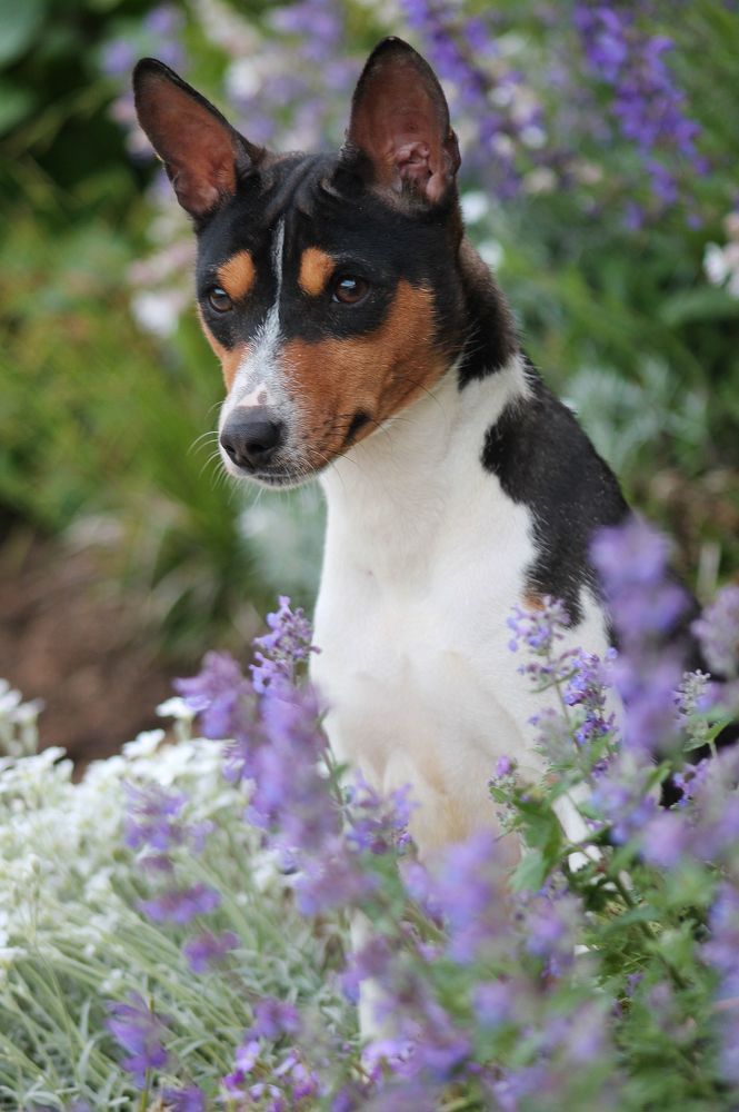 Photograph by Диана Ульянцева