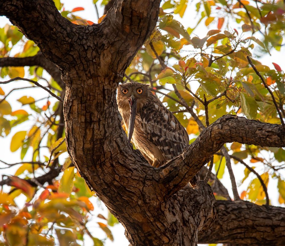 Photograph by Venkatesh K
