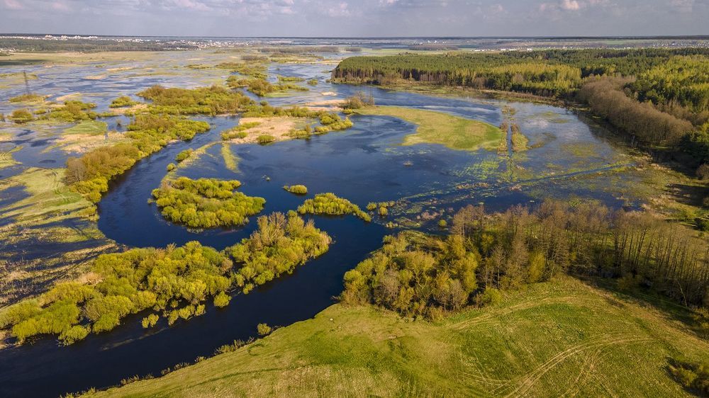 Photograph by Алла Толстая