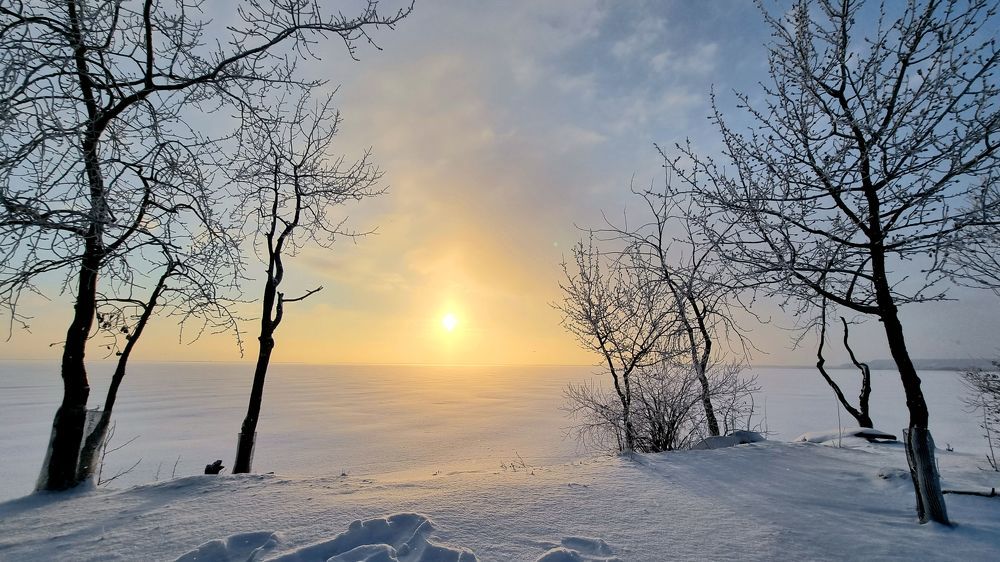 Photograph by Alla Matrosova